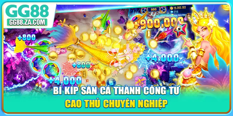Bí kíp săn cá thành công từ cao thủ chuyên nghiệp